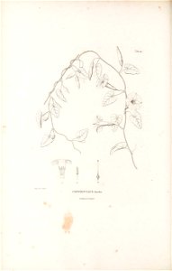 n131_w1150