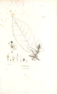 n62_w1150
