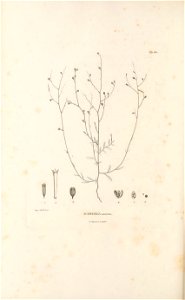 n481_w1150