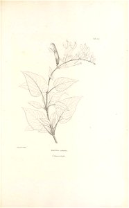 n362_w1150