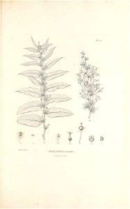 n122_w1150