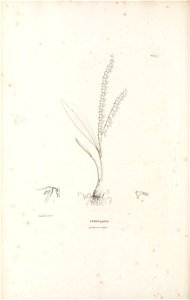 n613_w1150