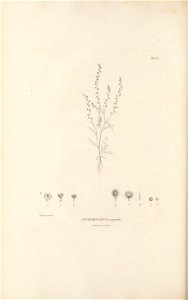 n209_w1150
