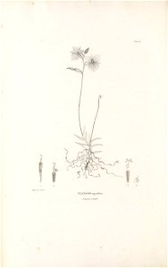 n561_w1150