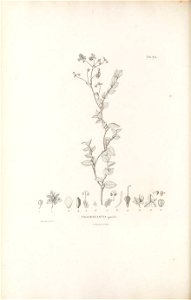 n469_w1150