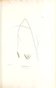 n374_w1150