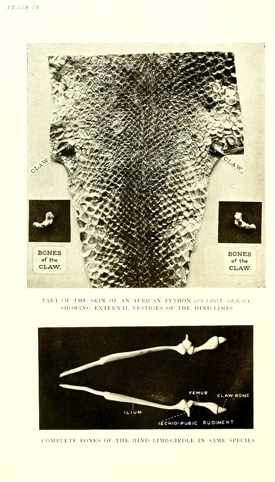 n153_w1150