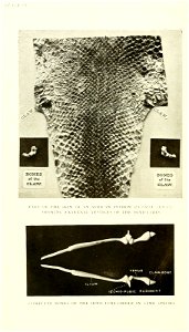 n153_w1150