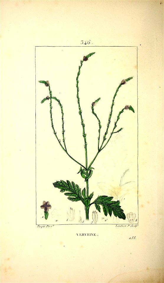 n367_w1150