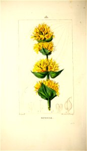n59_w1150