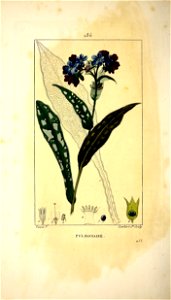 n375_w1150