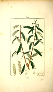 n157_w1150