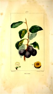 n369_w1150