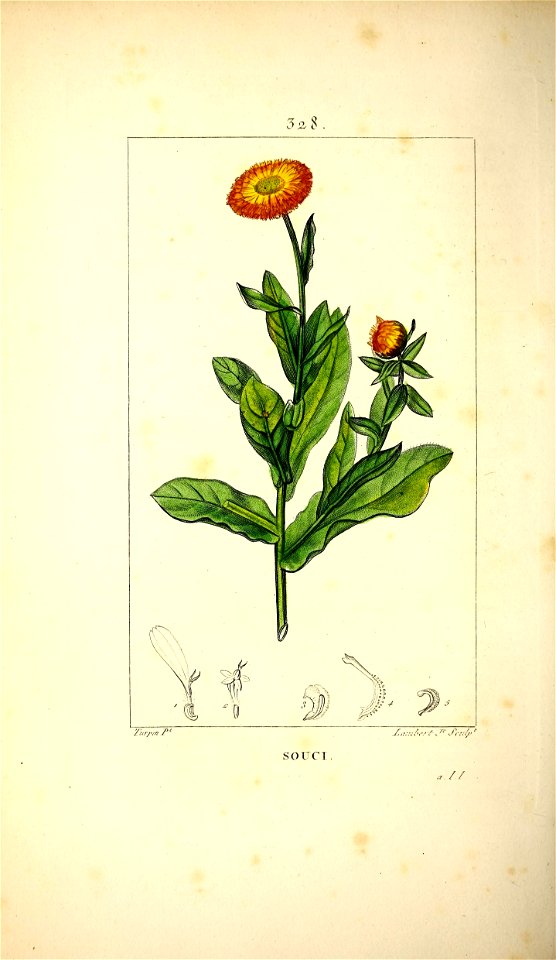 n243_w1150