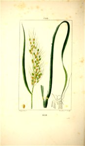 n57_w1150