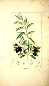 n157_w1150