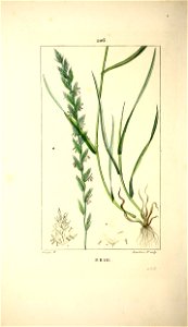 n209_w1150