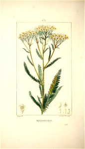 n45_w1150