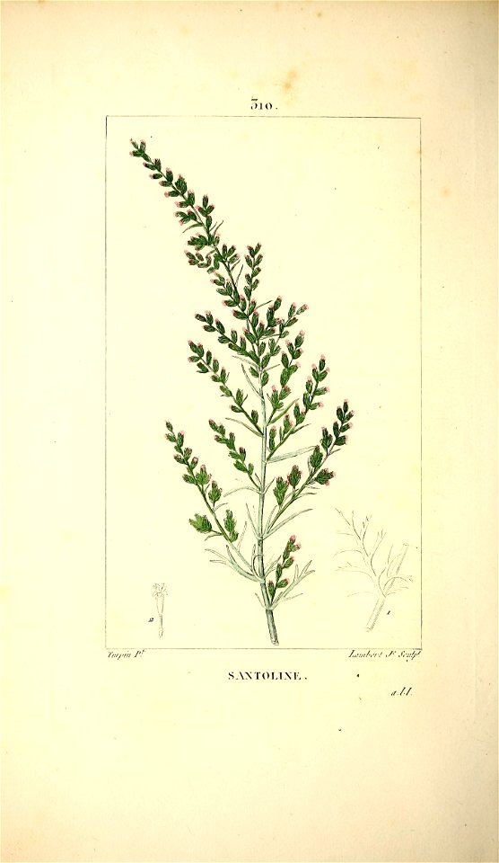 n133_w1150