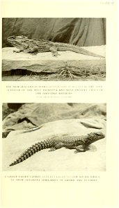 n54_w1150