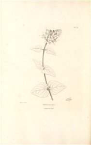 n371_w1150
