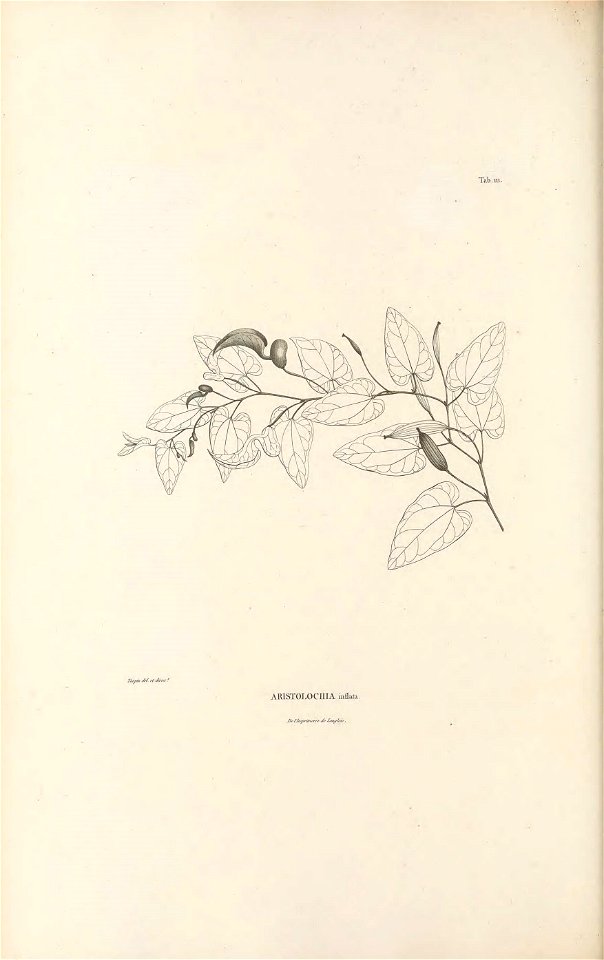 n153_w1150