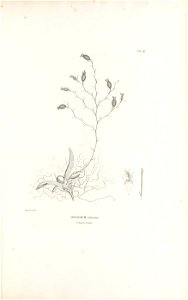 n576_w1150