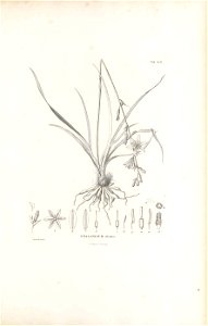 n488_w1150