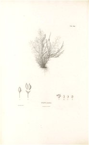 n291_w1150
