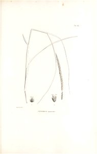 n244_w1150