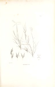 n190_w1150