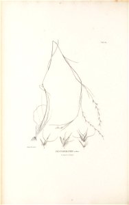 n379_w1150