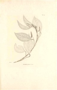 n178_w1150