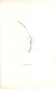 n136_w1150
