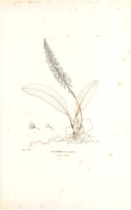 n616_w1150