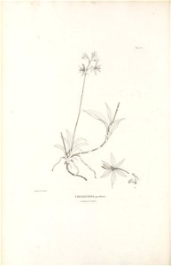 n565_w1150