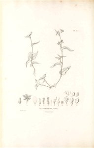 n473_w1150