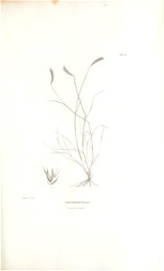 n376_w1150