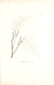 n176_w1150