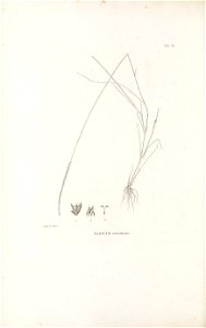 n221_w1150