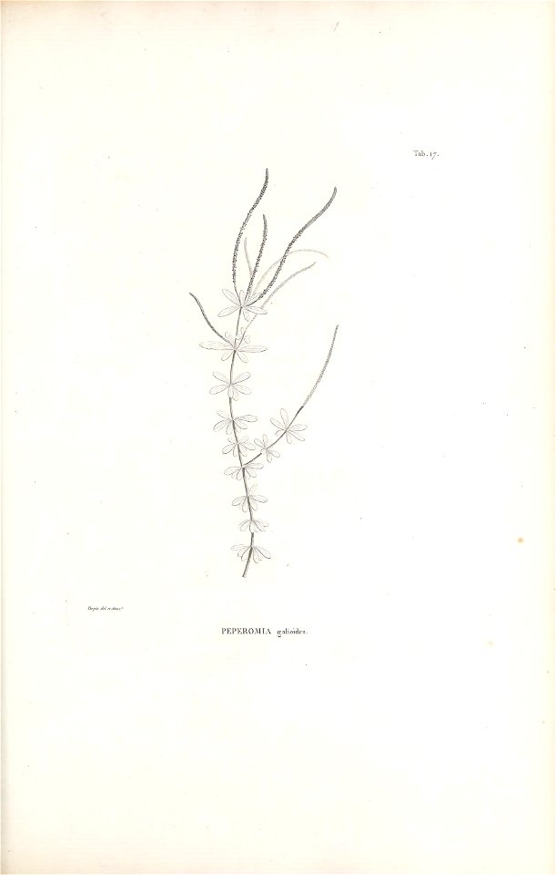 n170_w1150