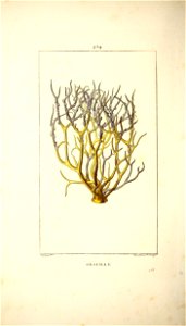 n195_w1150