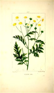 n341_w1150