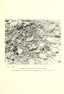 n190_w1150