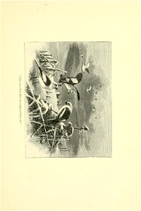 n90_w1150
