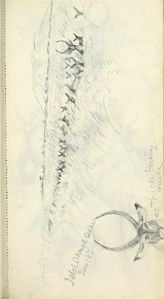 n66_w1150