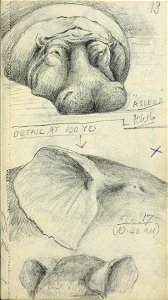 n28_w1150