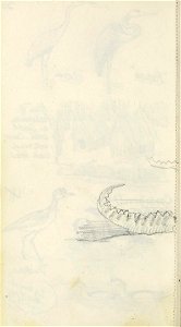 n43_w1150