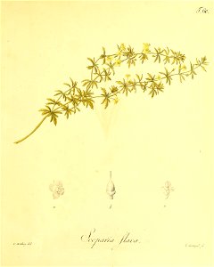 n258_w1150
