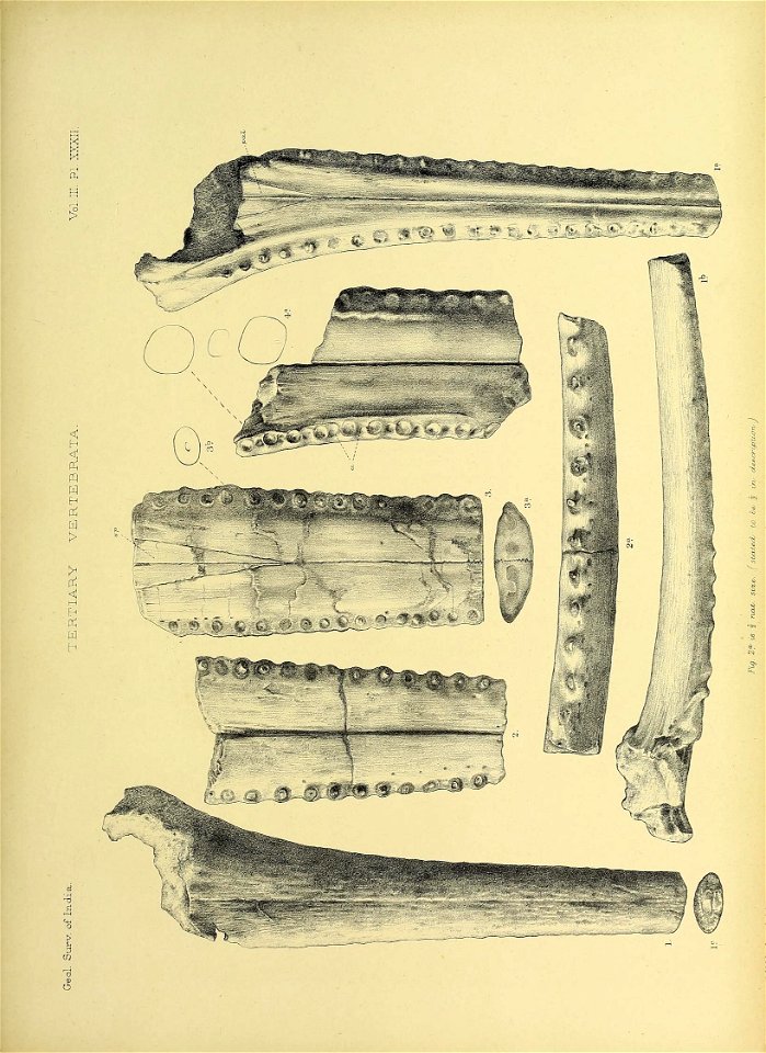 n424_w1150